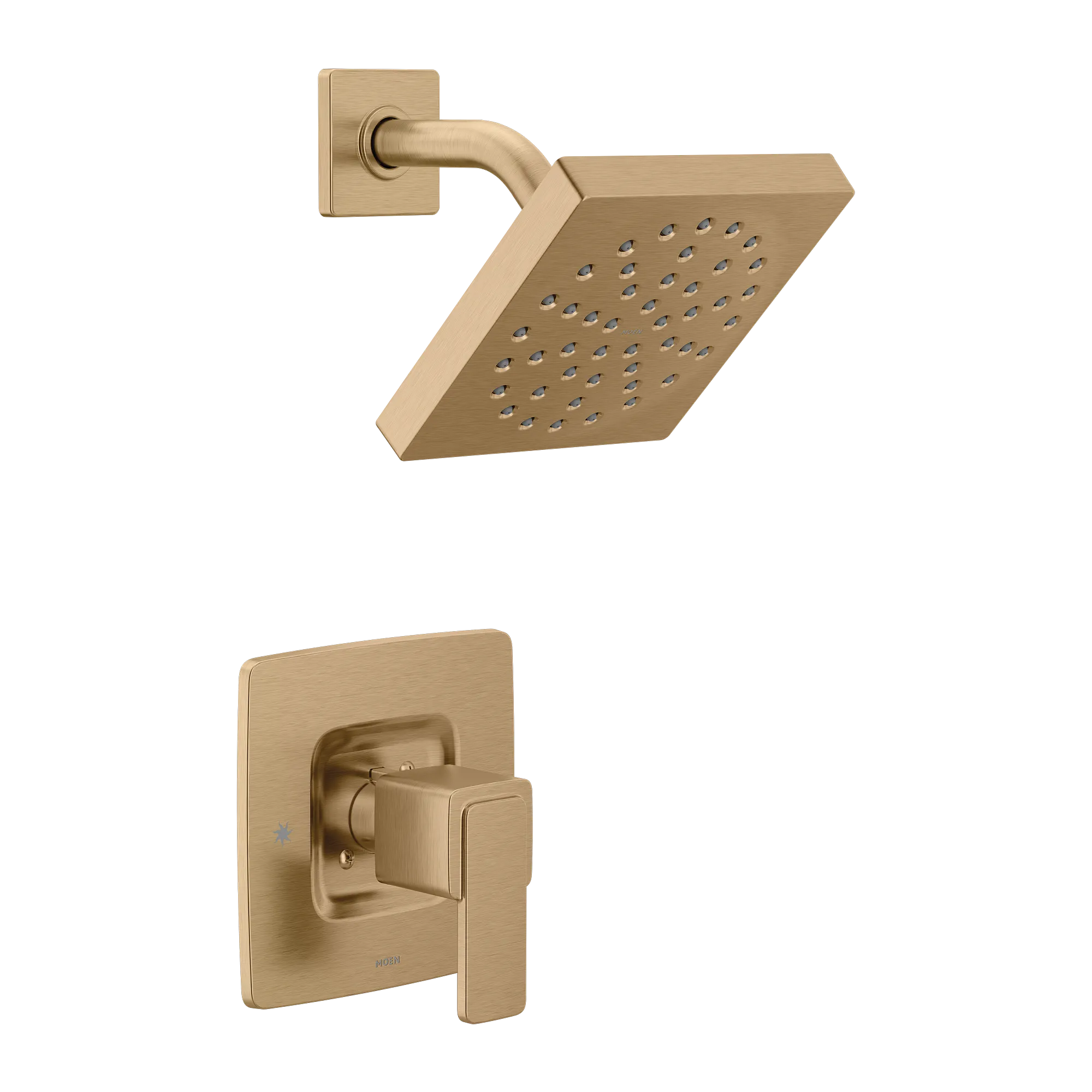 Iver Posi-Temp(R) Shower Only - Image 8