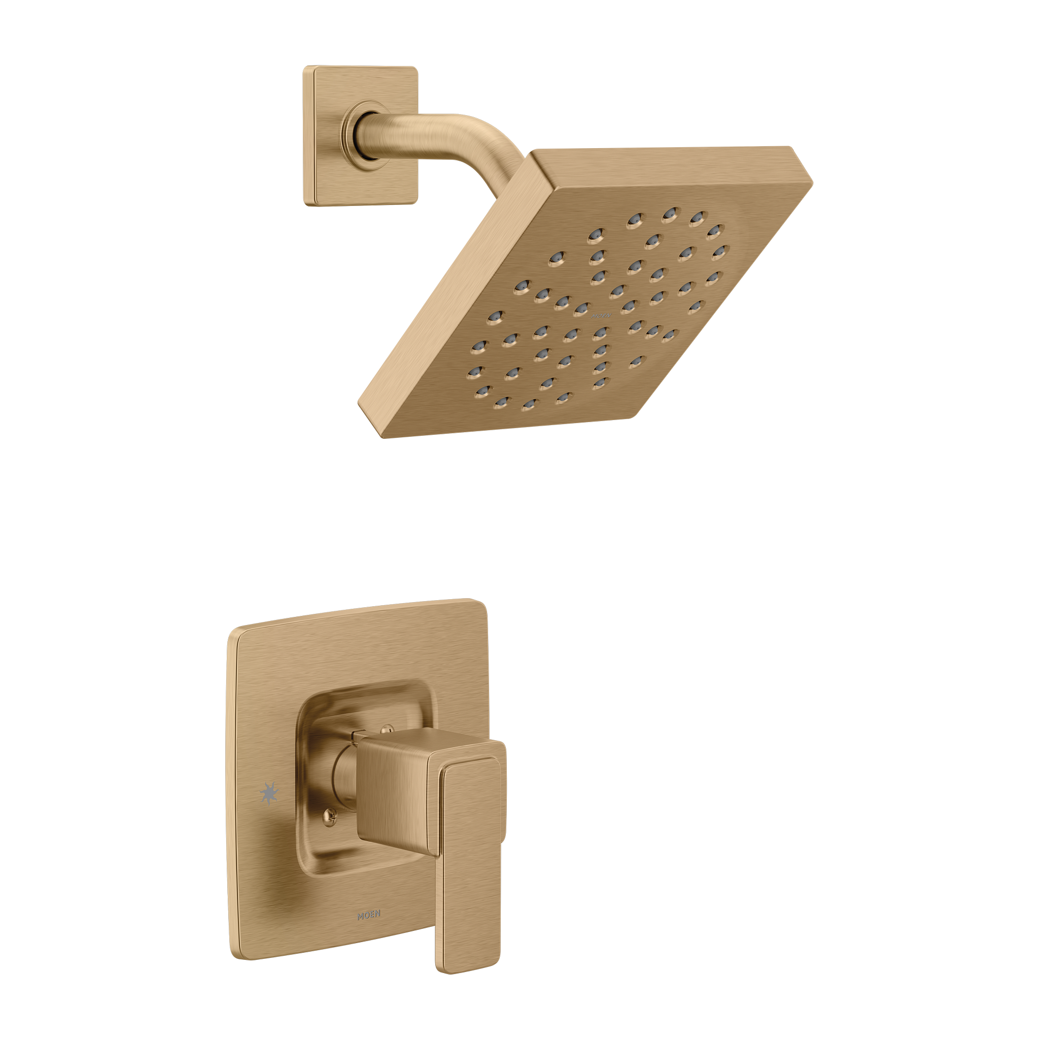 Iver Posi-Temp(R) Shower Only - Image 7